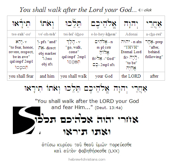 Deut. 13:4a Hebrew Lesson