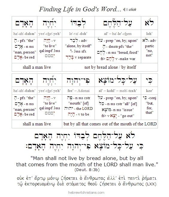 Deut. 8:3b Hebrew Lesson