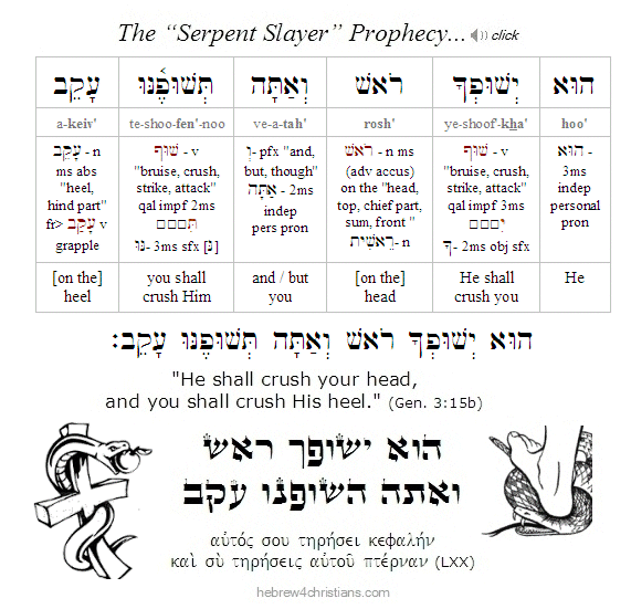 Gen. 3:15b Hebrew lesson