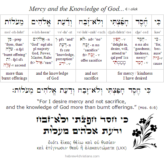 Hosea 6:6 Hebrew lesson