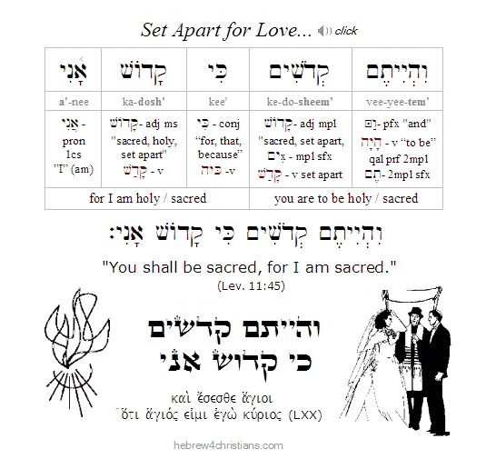 Lev 11:45 Hebrew Lesson