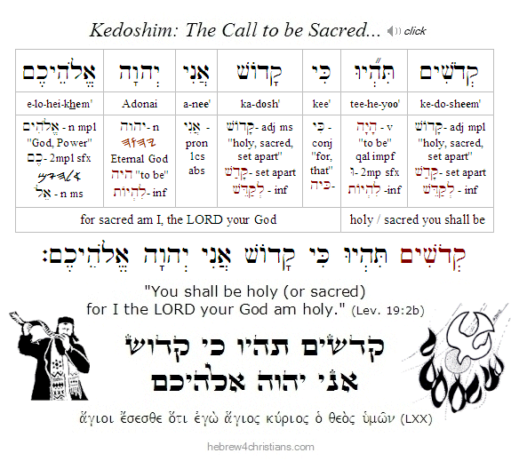 Leviticus 19:2b Hebrew Analysis