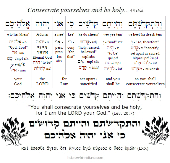 Leviticus 20:7 Hebrew Lesson