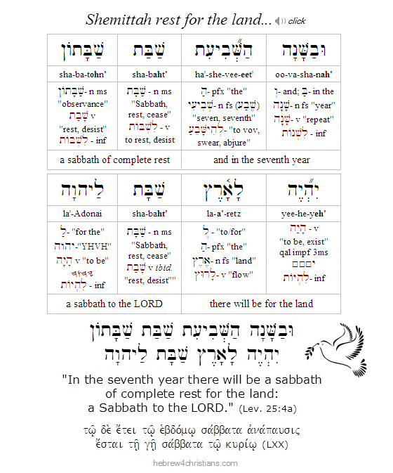 Leviticus 25:1 Hebrew lesson