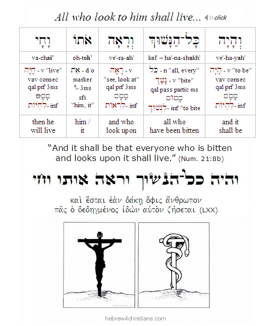 Numbers 21:8b Hebrew Lesson
