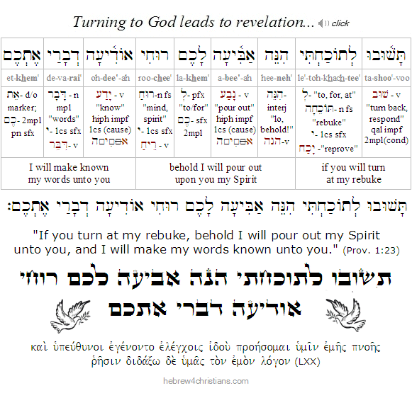 Proverbs 1:23 Hebrew Lesson