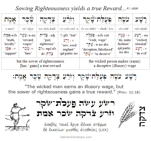 Proverbs 11:18 Hebrew lesson