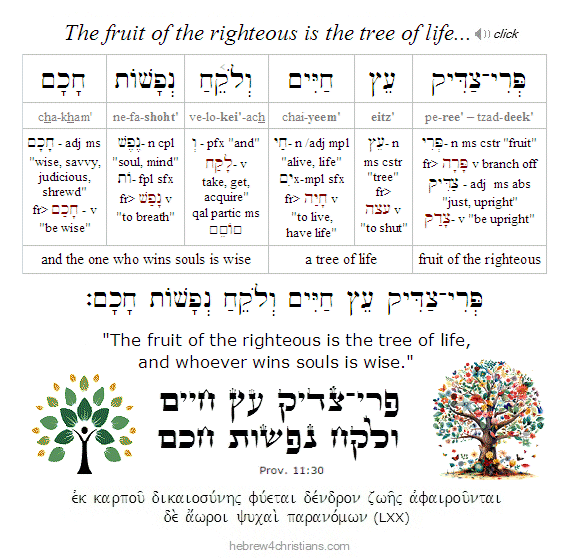 Proverbs 11:30 Hebrew