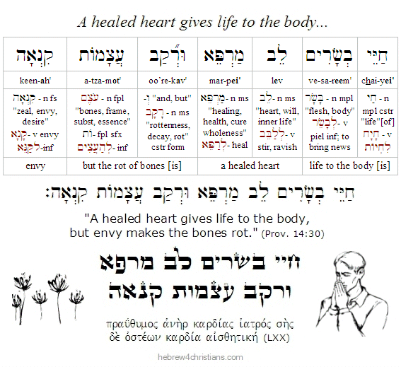 Proverbs 14:30 Hebrew Lesson