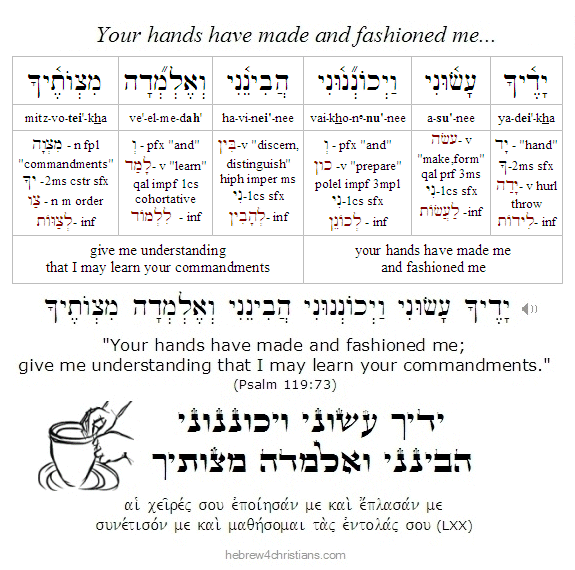 Psalm 51:10 Hebrew lesson