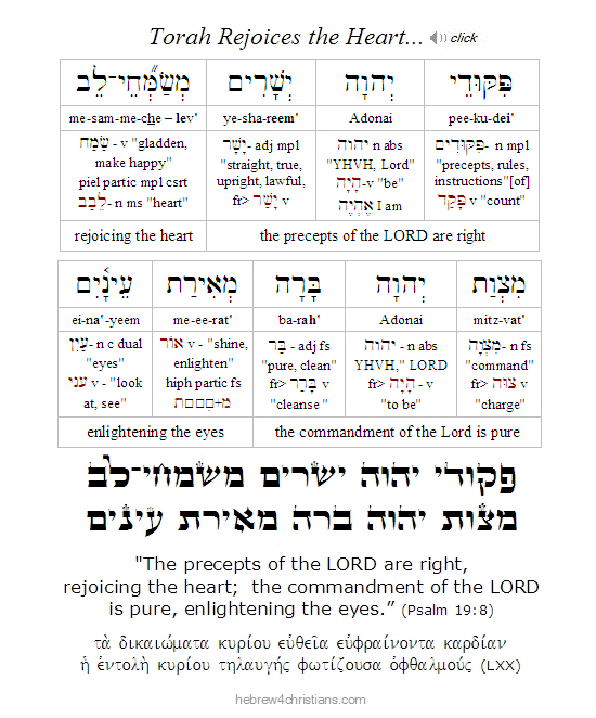 Psalm 19:8 Hebrew lesson