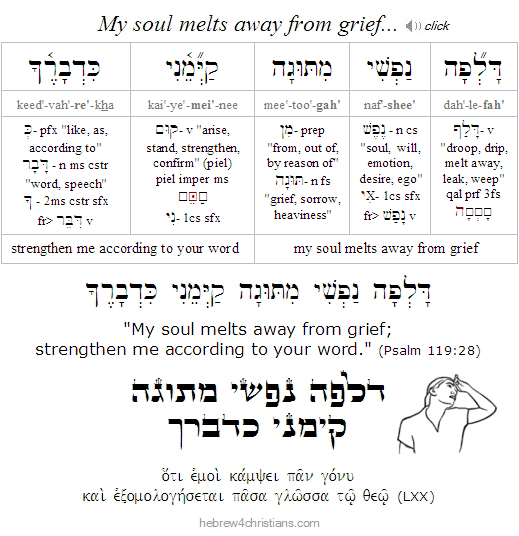 Psalm 119:28 Hebrew Lesson