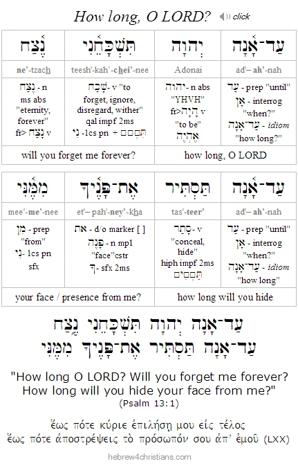 Psalm 13:1 Hebrew Lesson