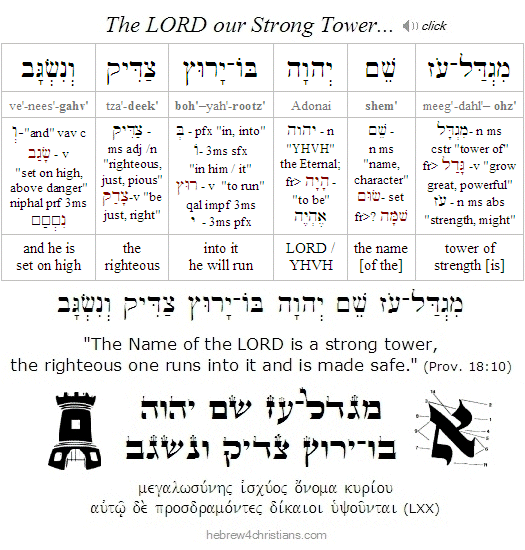 Proverbs 18:10 Hebrew Analysis