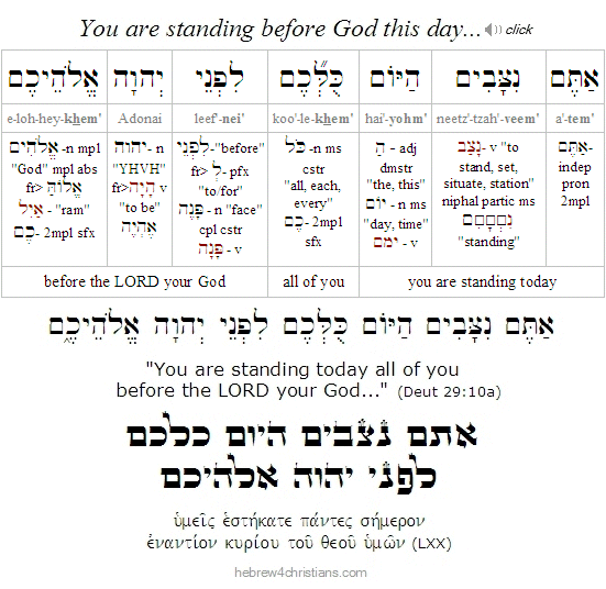 Deut. 29:10 Hebrew analysis