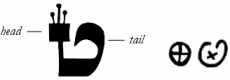 Morphology of Tet