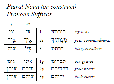 Plural Noun Suffixes