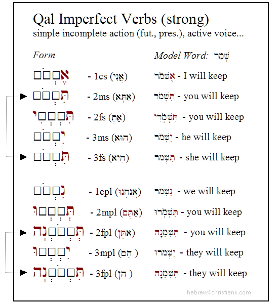 Qal Perfect Strong Paradigm