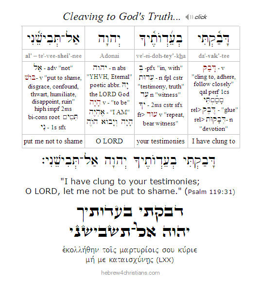 Psalm 119:31 Hebrew lesson