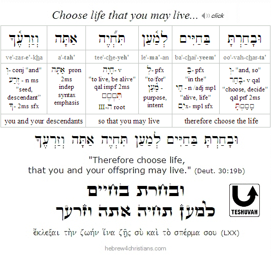 Deut. 30:19b Hebrew Lesson