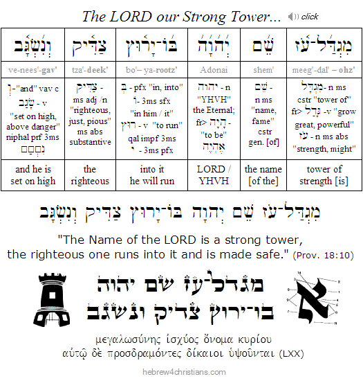 Proverbs 18:10 Hebrew Analysis