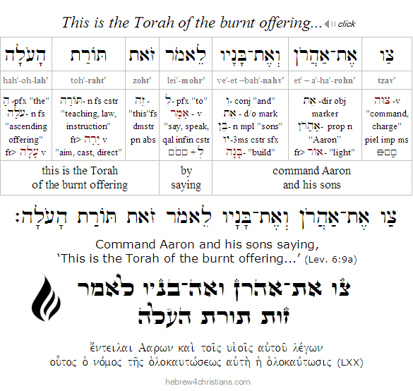 Leviticus 6:9a Hebrew Analysis