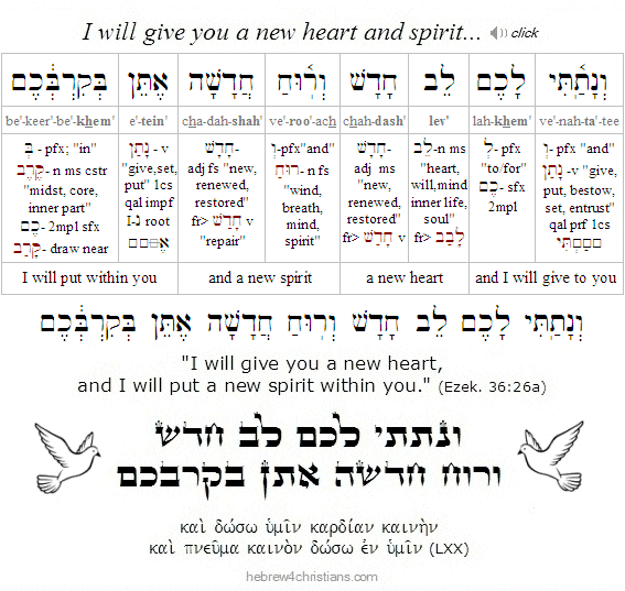 Ezek. 36:26a Hebrew lesson