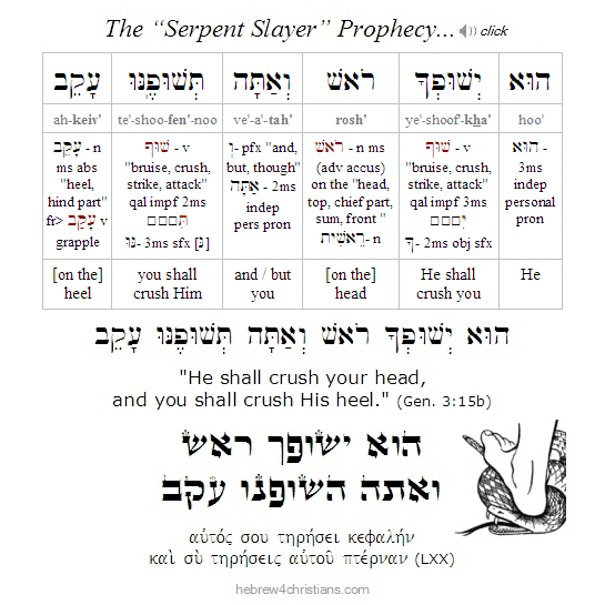 Gen. 3:15b Hebrew analysis