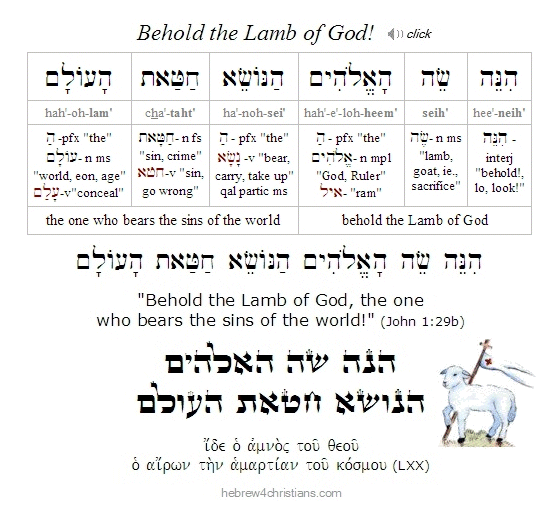 John 1:29 Hebrew Lesson