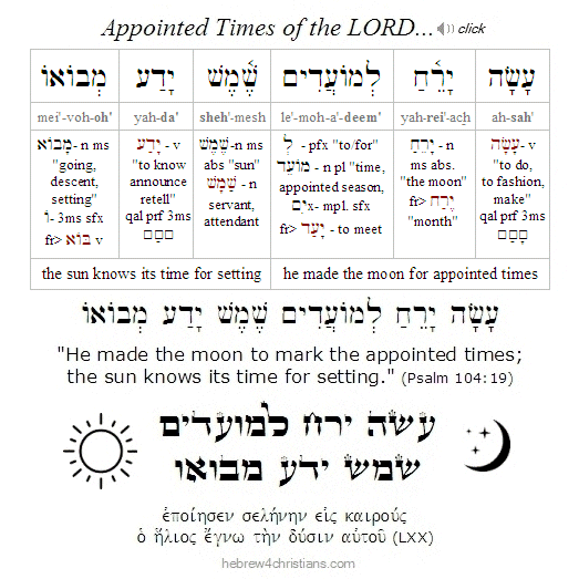 Psalm 104:19 Hebrew Analysis