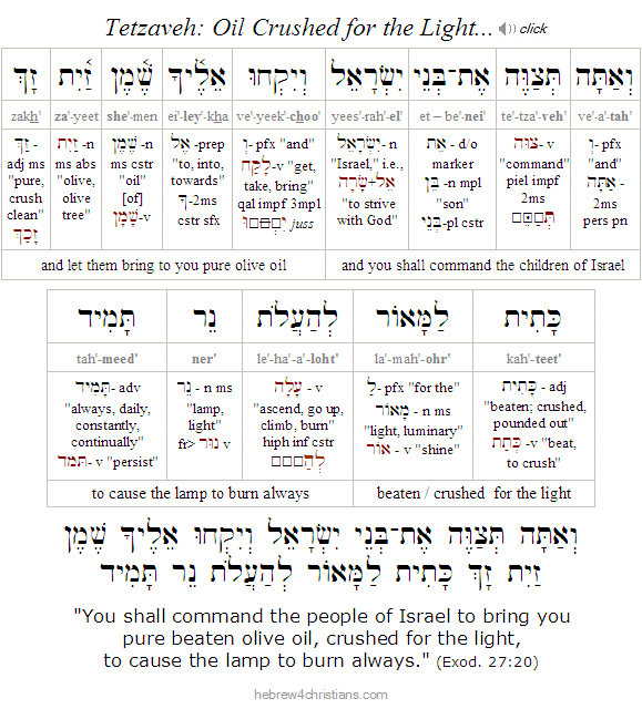 Exodus 27:20a Hebrew Analysis