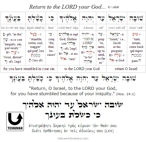 Hosea 14:1 Hebrew analysis