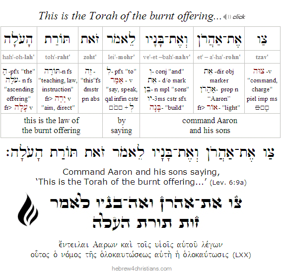 Leviticus 6:9a Hebrew Analysis